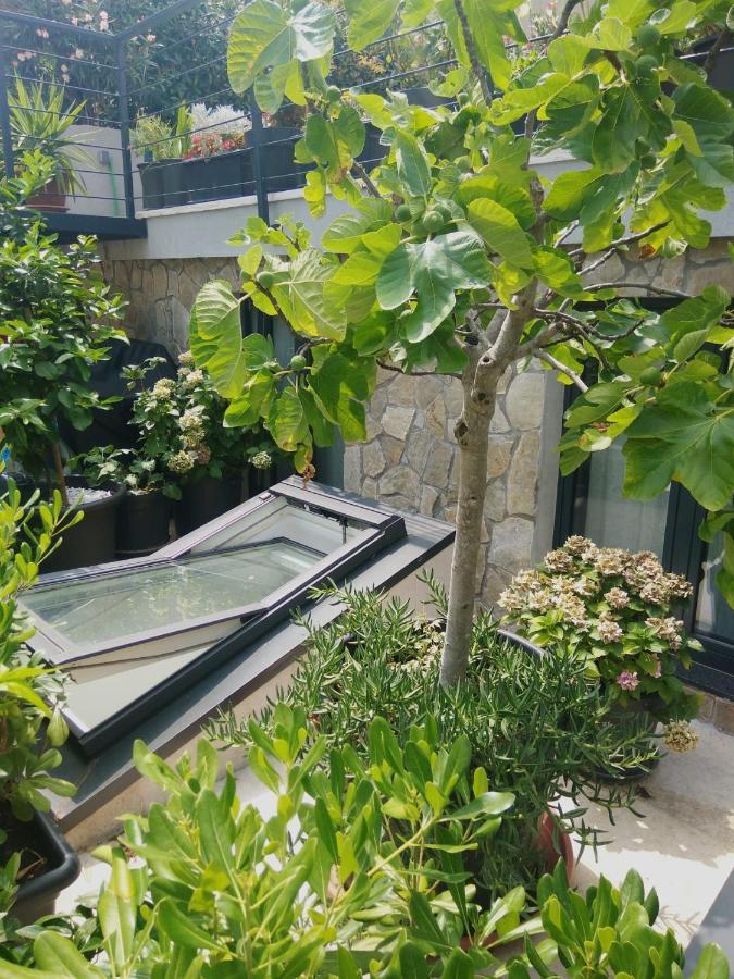 Artspace Location-Opatija-3 Bedroom House With Rooftop Garden By Beach 외부 사진