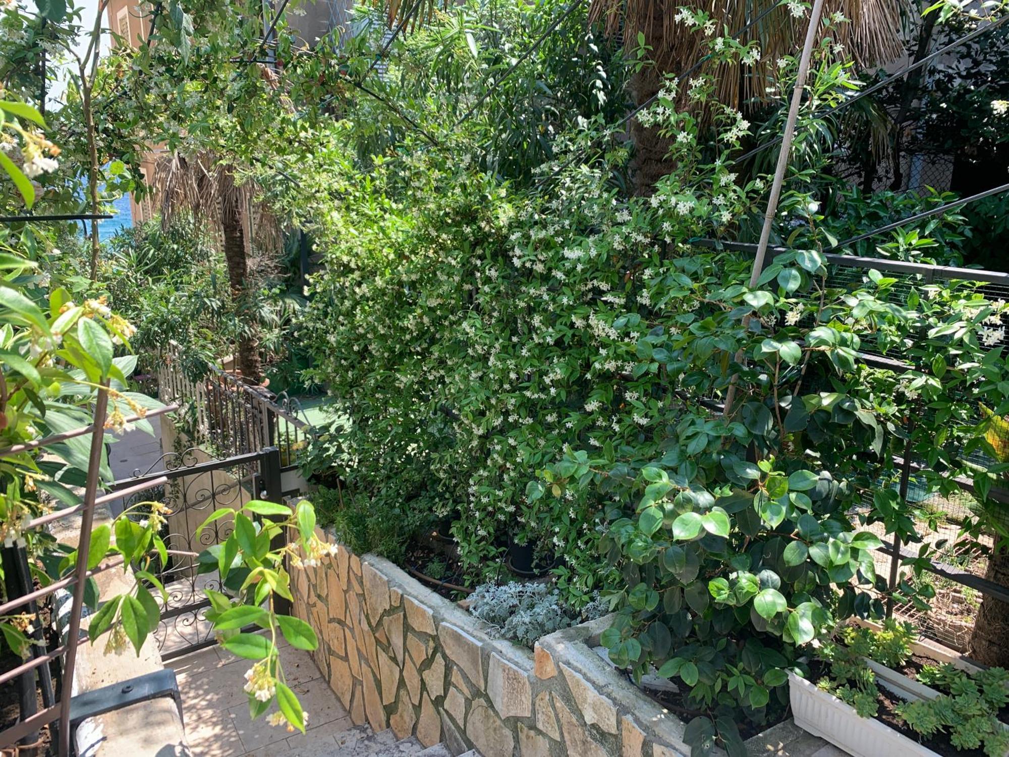 Artspace Location-Opatija-3 Bedroom House With Rooftop Garden By Beach 외부 사진